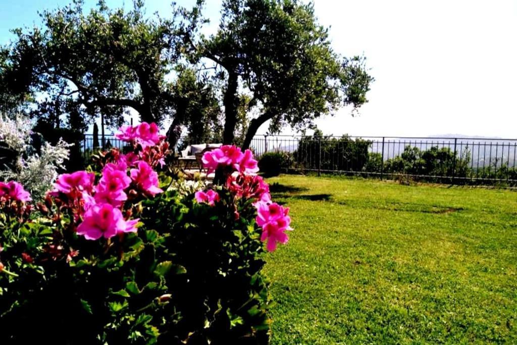 Casa Vista Mare Imperia Exterior foto